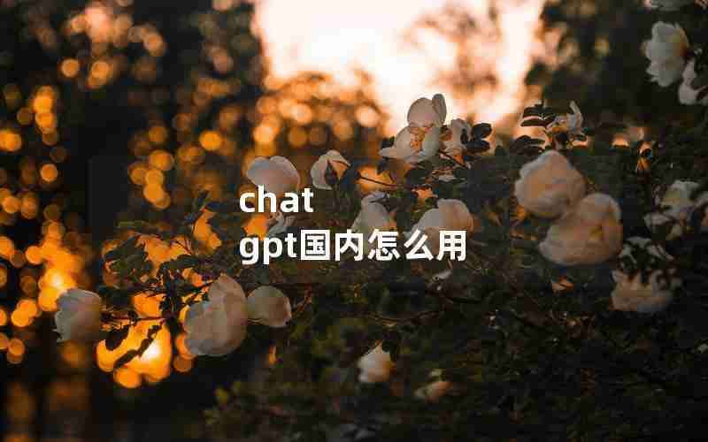 chat gpt国内怎么用