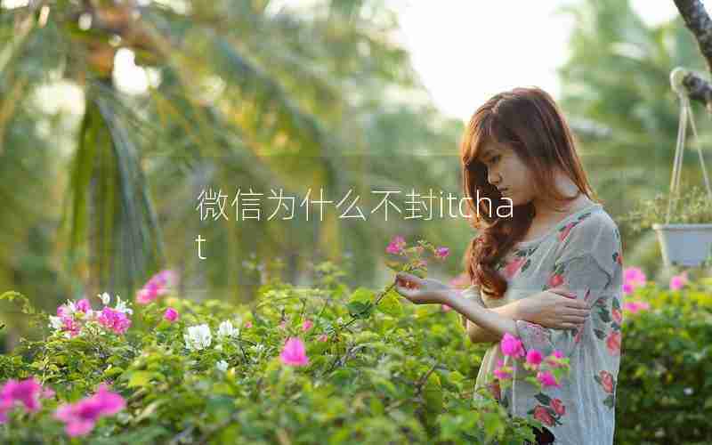 微信为什么不封itchat 微信为什么不封itchat