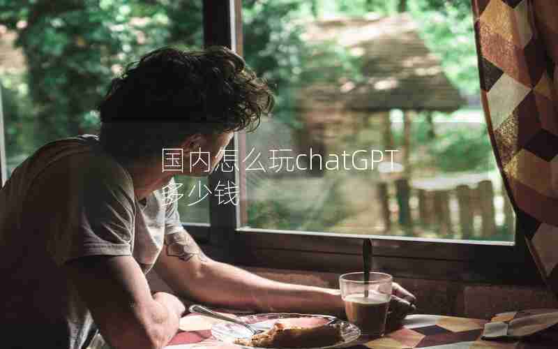 国内怎么玩chatGPT多少钱 国内怎么玩chatGPT多少钱