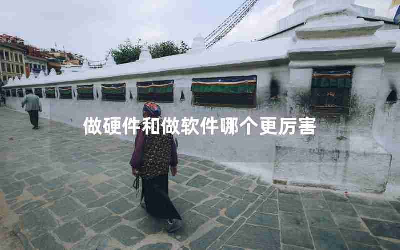 做硬件和做软件哪个更厉害