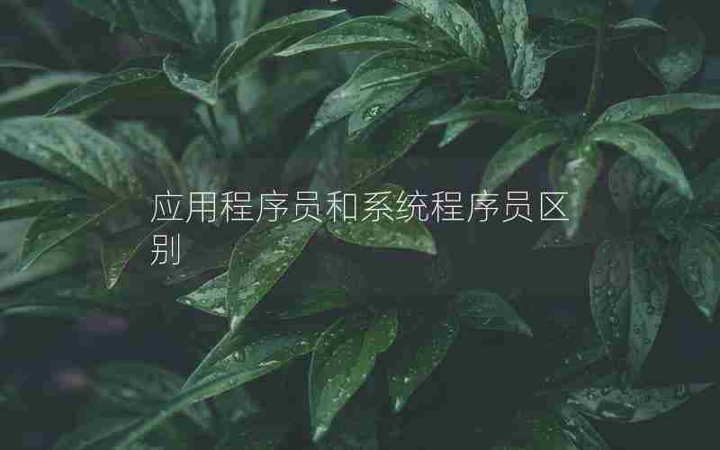 应用程序员和系统程序员区别