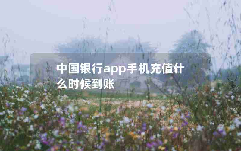中国银行app手机充值什么时候到账 中国银行app手机充值什么时候到账