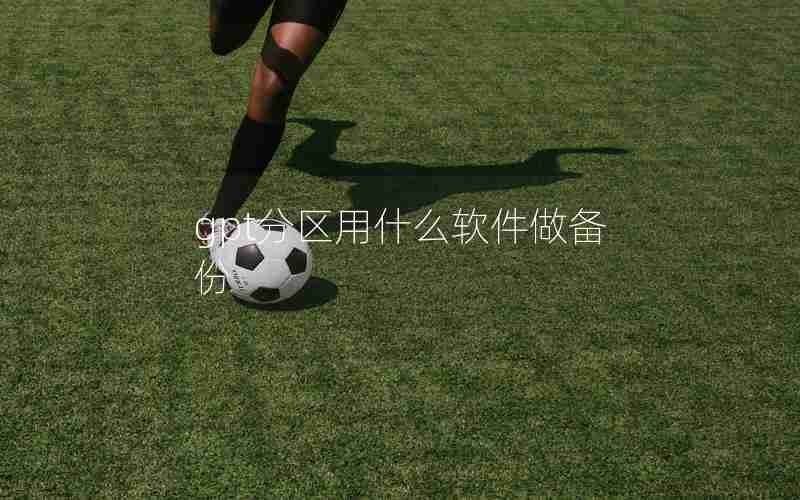 gpt分区用什么软件做备份 gpt分区用什么软件做备份