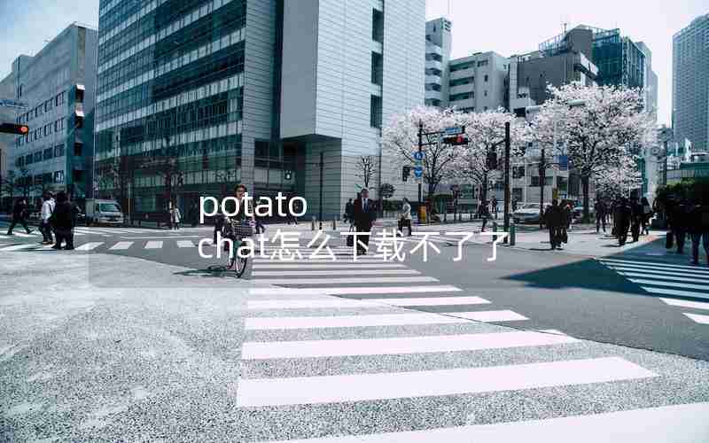 potato chat怎么下载不了了 potato chat怎么下载不了了