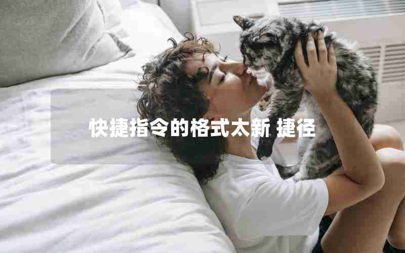 快捷指令的格式太新 捷径