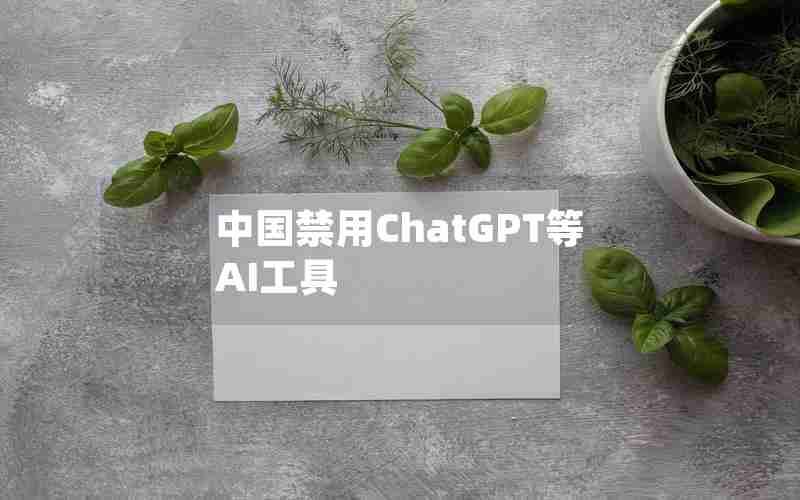 中国禁用ChatGPT等AI工具