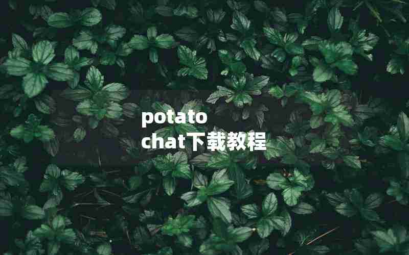potato chat下载教程 potato chat下载教程