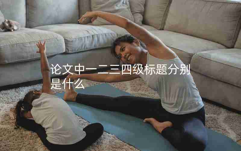 论文中一二三四级标题分别是什么 论文中一二三四级标题分别是什么