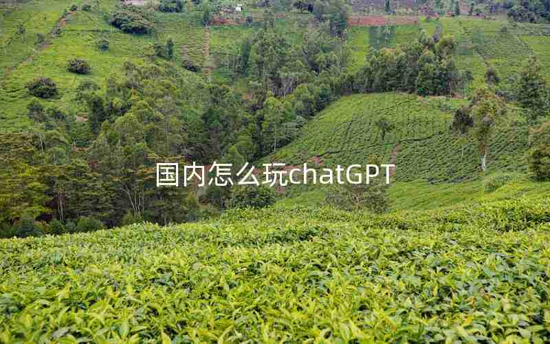 国内怎么玩chatGPT