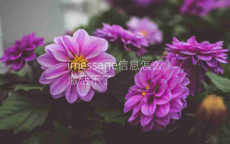 imessage信息怎么激活不了 imessage信息怎么激活不了