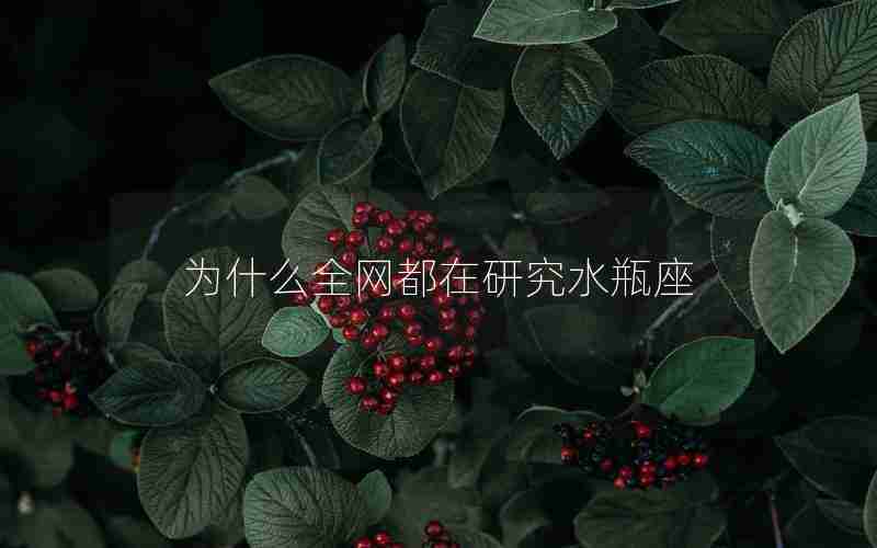 为什么全网都在研究水瓶座 为什么全网都在研究水瓶座