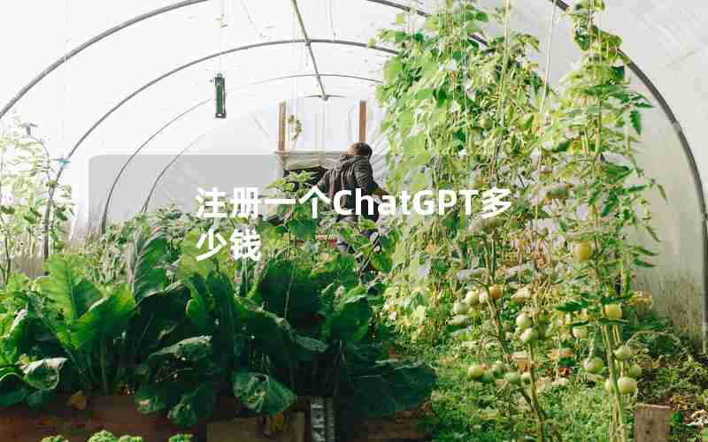 注册一个ChatGPT多少钱 注册一个ChatGPT多少钱