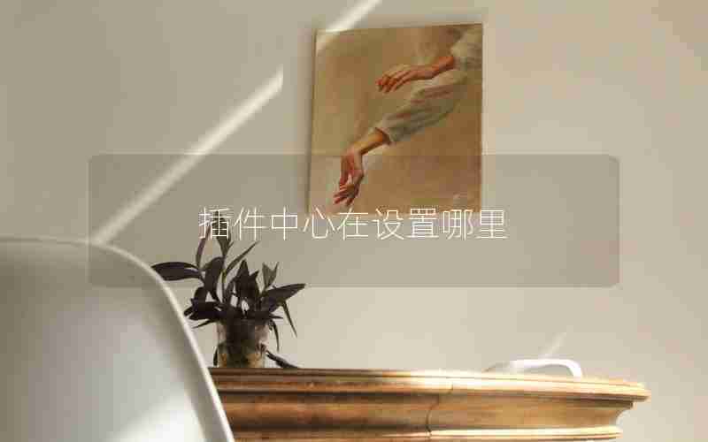 插件中心在设置哪里