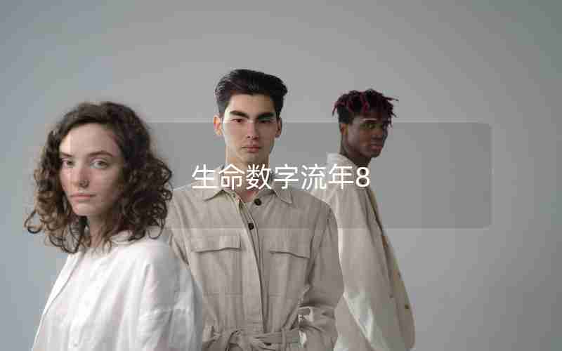 生命数字流年8