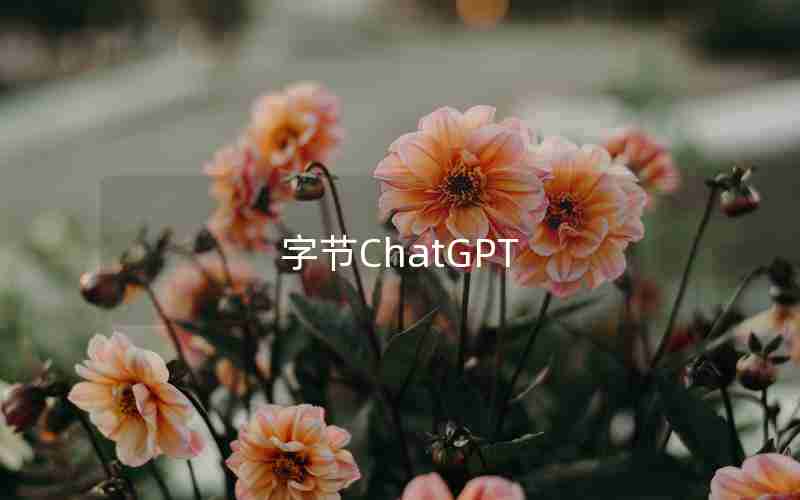 字节ChatGPT 字节ChatGPT