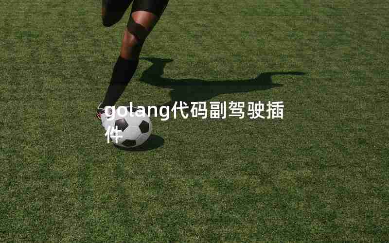 golang代码副驾驶插件
