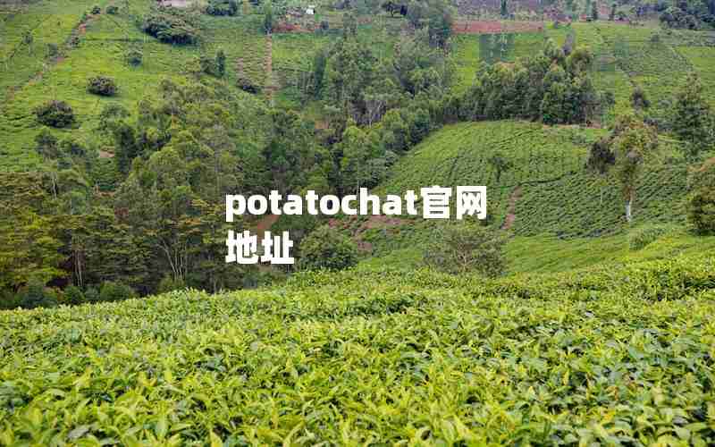 potatochat官网地址