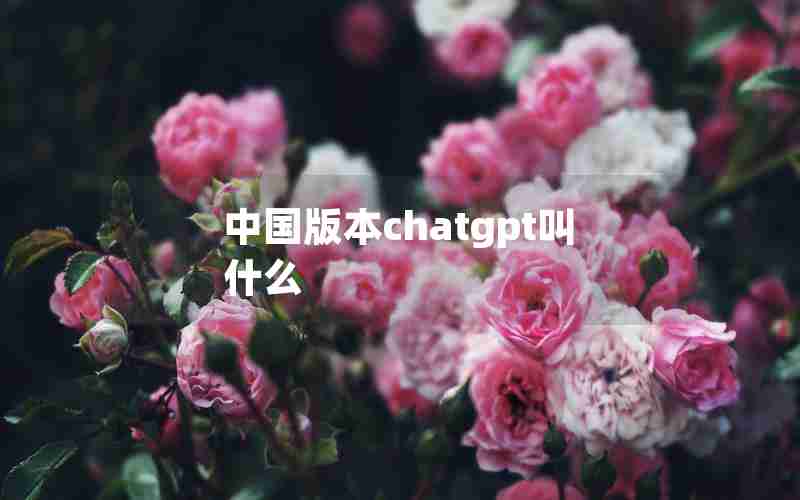 中国版本chatgpt叫什么