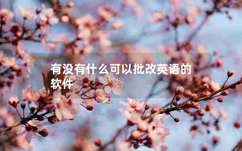 有没有什么可以批改英语的软件 有没有什么可以批改英语的软件