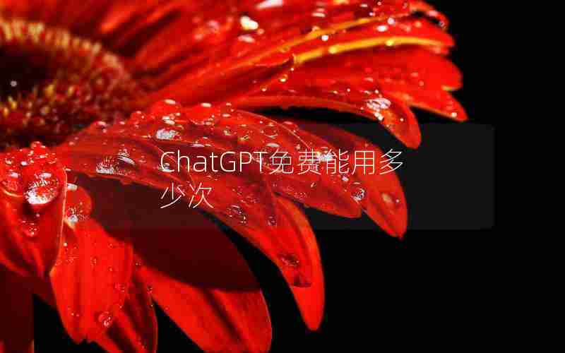 ChatGPT免费能用多少次 ChatGPT免费能用多少次