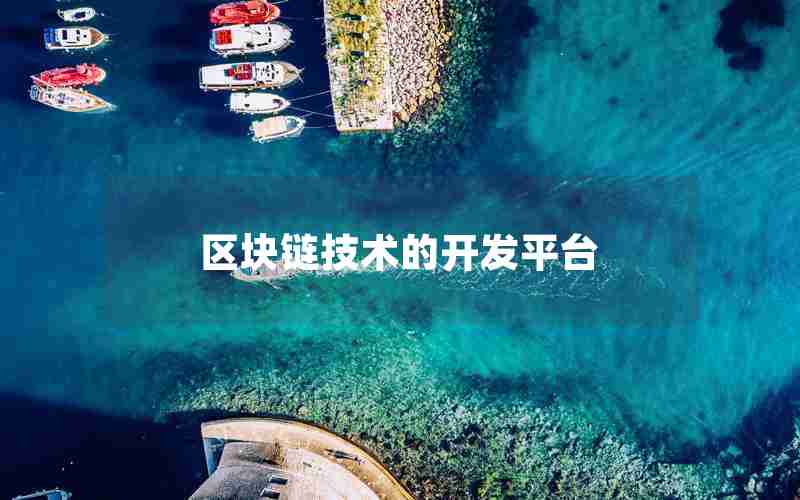 区块链技术的开发平台