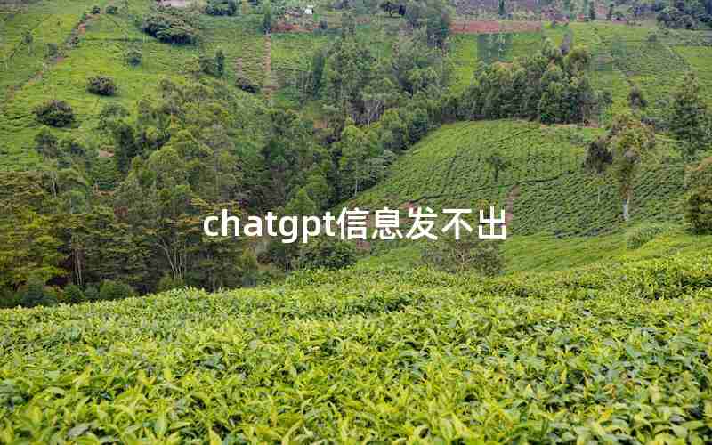 chatgpt信息发不出