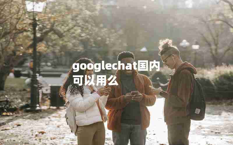 googlechat国内可以用么