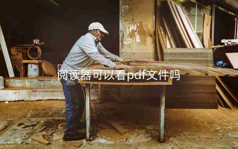 阅读器可以看pdf文件吗 阅读器可以看pdf文件吗