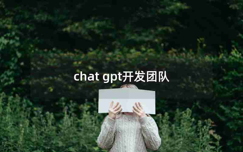 chat gpt开发团队