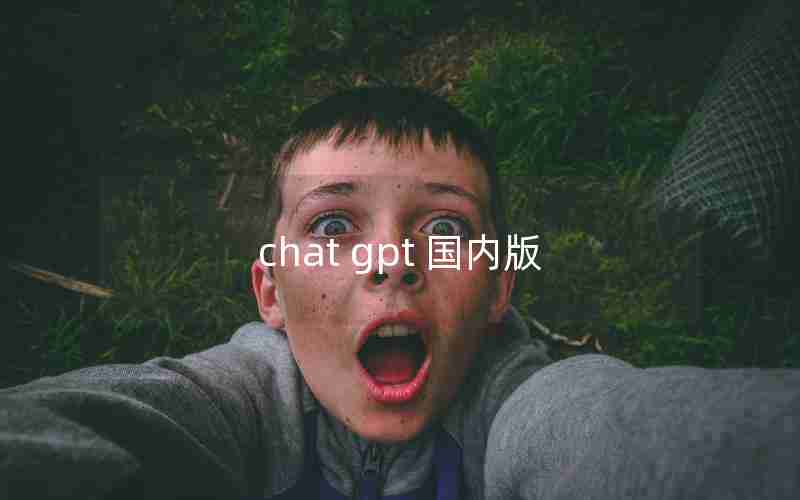 chat gpt 国内版