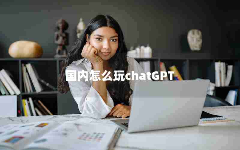 国内怎么玩chatGPT