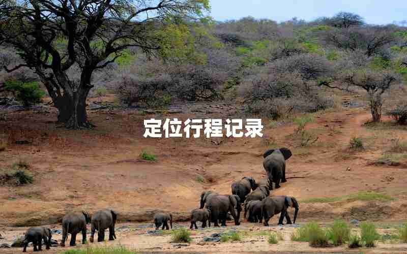定位行程记录
