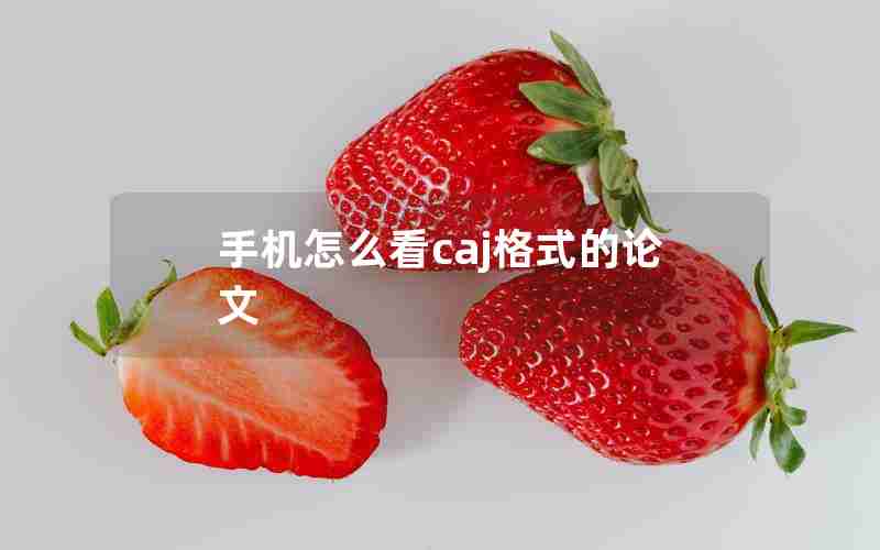 手机怎么看caj格式的论文