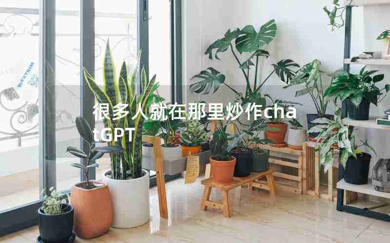 很多人就在那里炒作chatGPT 很多人就在那里炒作chatGPT