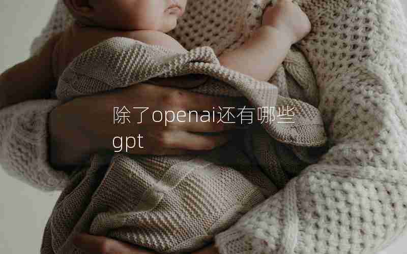 除了openai还有哪些gpt