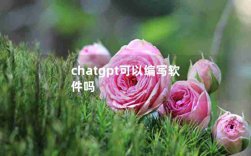 chatgpt可以编写软件吗 chatgpt可以编写软件吗