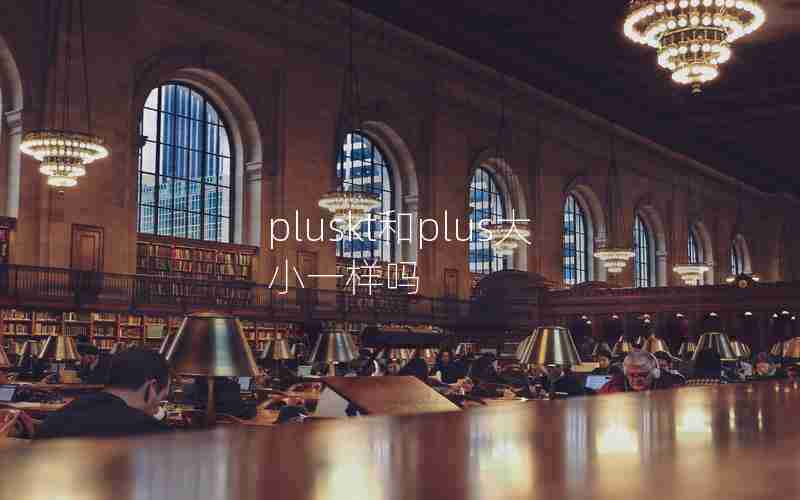 pluskt和plus大小一样吗 pluskt和plus大小一样吗