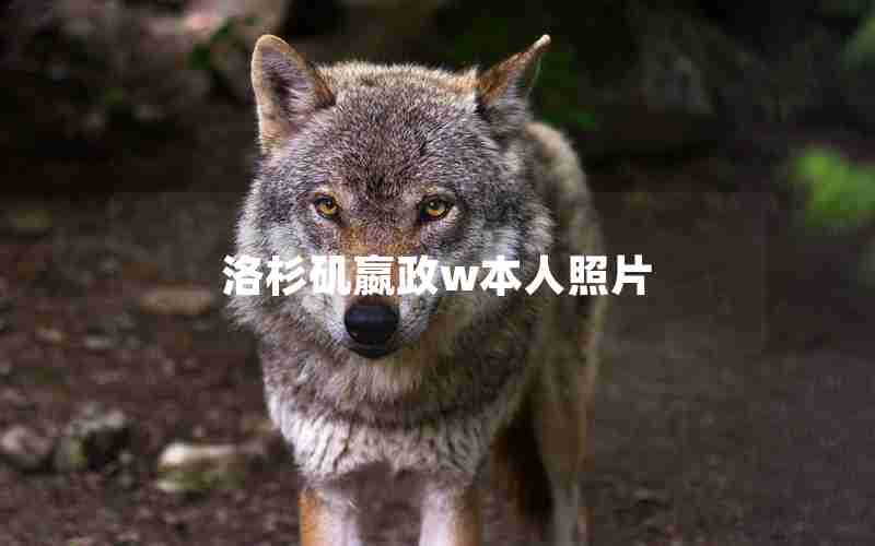 洛杉矶嬴政w本人照片