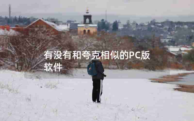 有没有和夸克相似的PC版软件