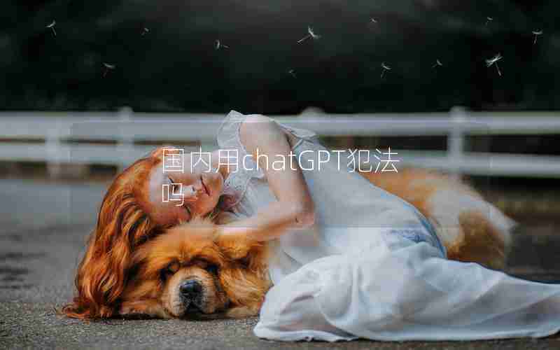 国内用chatGPT犯法吗 国内用chatGPT犯法吗