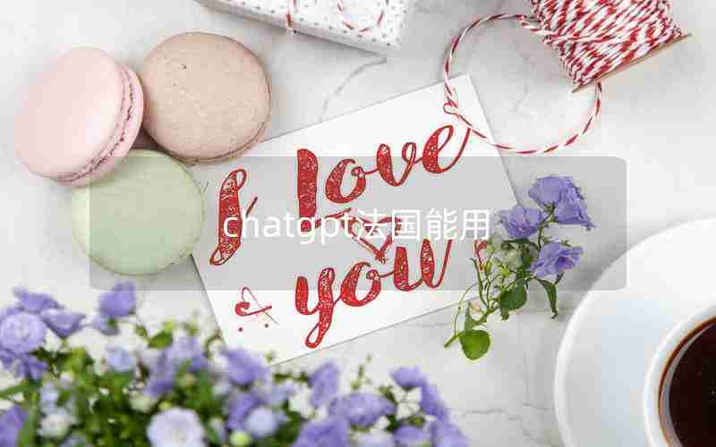 chatgpt法国能用