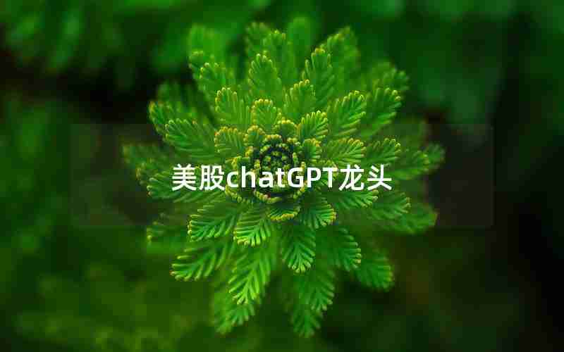 美股chatGPT龙头