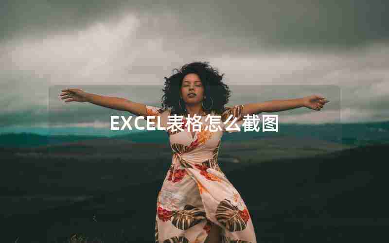 EXCEL表格怎么截图 EXCEL表格怎么截图
