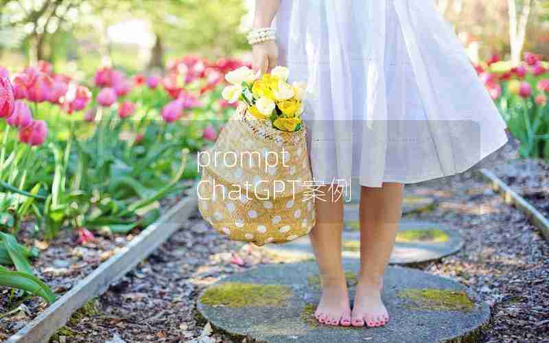 prompt ChatGPT案例 prompt ChatGPT案例