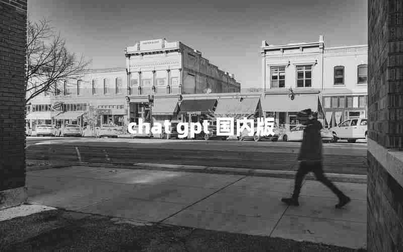 chat gpt 国内版 chat gpt 国内版