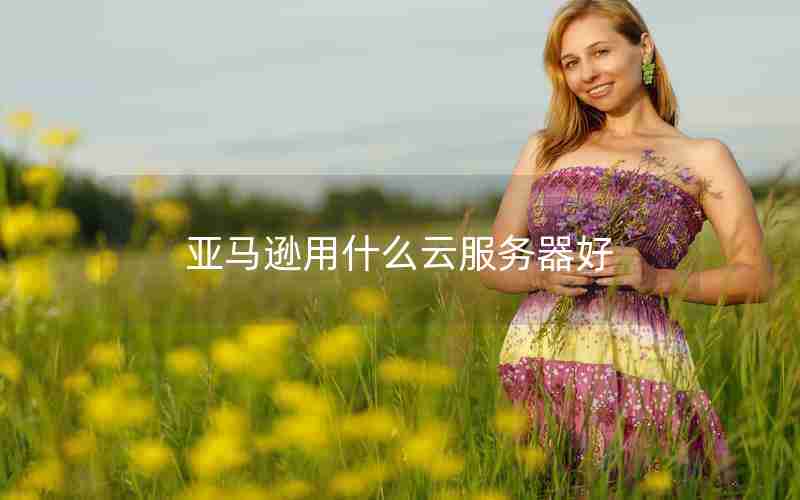 亚马逊用什么云服务器好 亚马逊用什么云服务器好