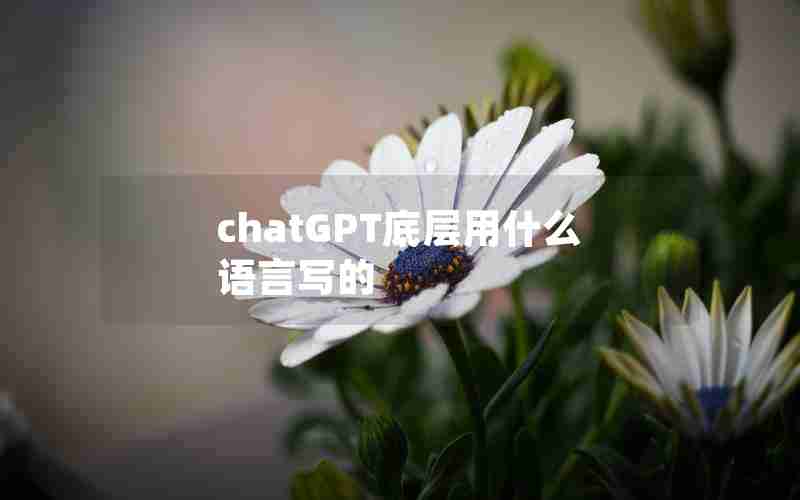 chatGPT底层用什么语言写的
