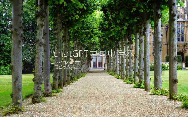 chatGPT中国电话不能验证 chatGPT中国电话不能验证