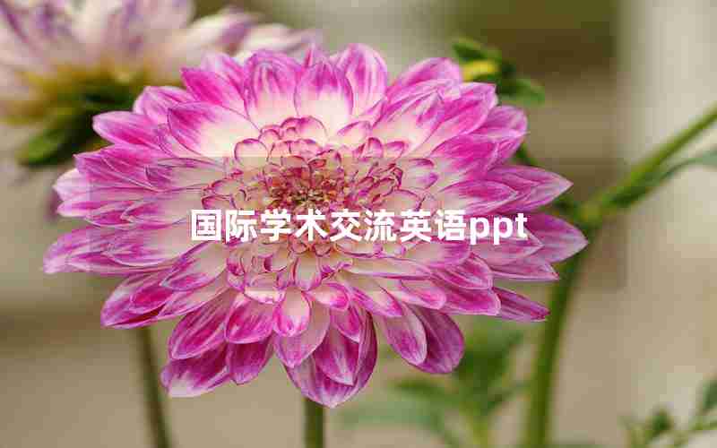 国际学术交流英语ppt 国际学术交流英语ppt