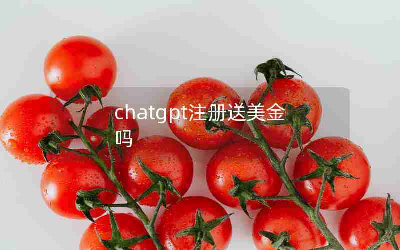 chatgpt注册送美金吗 chatgpt注册送美金吗